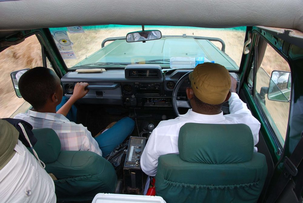 safari Kenia con niños safari Kenia con niños