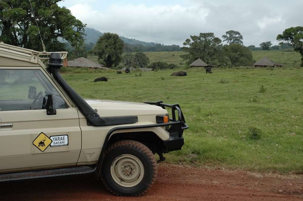 safaris masai mara kenya safaris masai mara kenya